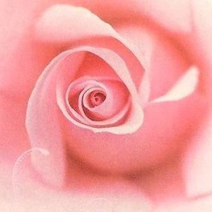 Barbara Newton Riggs
